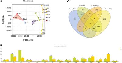 Interaction Between Cecal Metabolites and Liver Lipid Metabolism Pathways During Induced Molting in Laying Hens